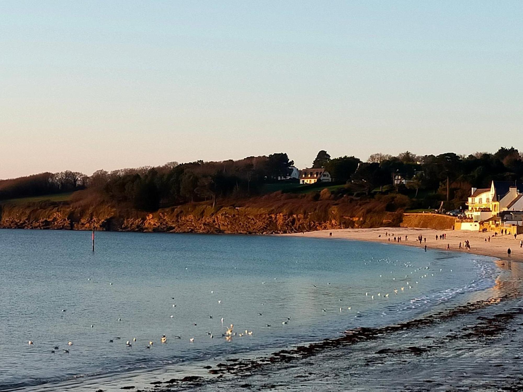 L'Elephant Blanc De Concarnoloc Concarneau Pokój zdjęcie